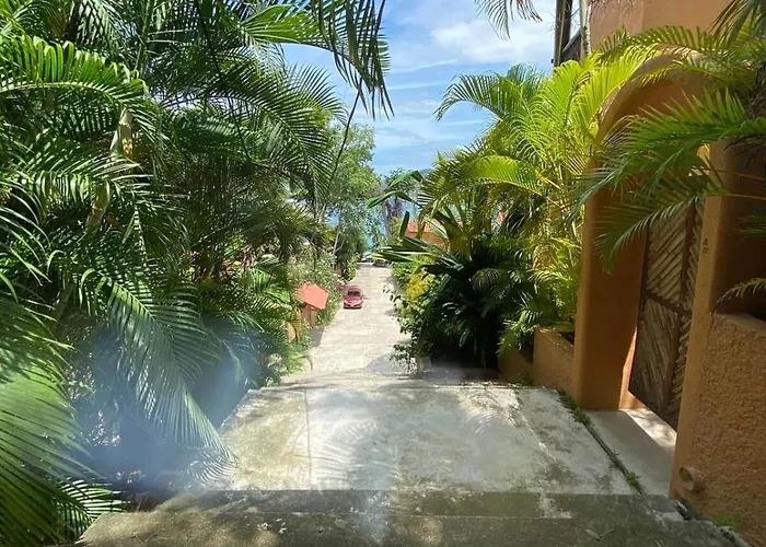 Violeta | Ocean Views Above Playa La Ropa 3* Zihuatanejo
